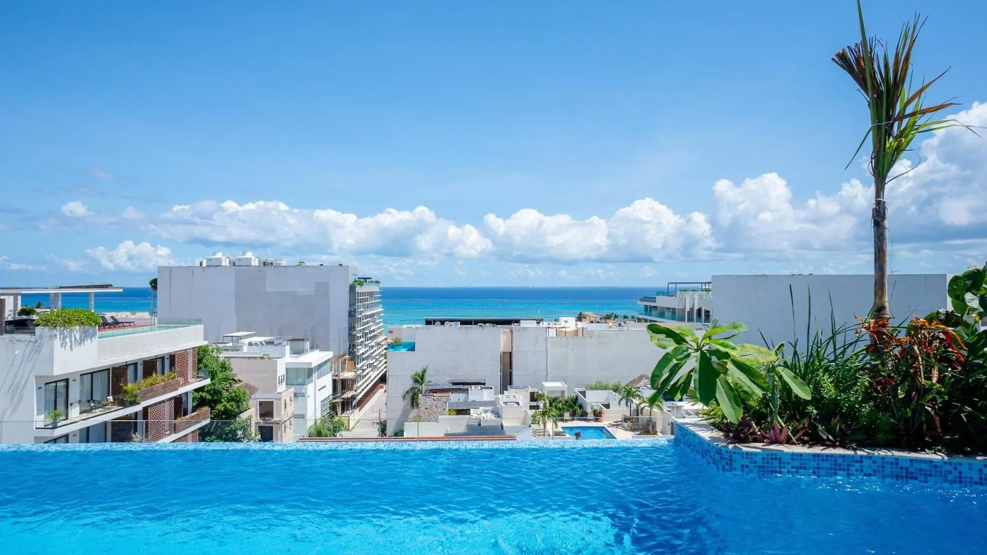 Menesse Studio Home Playa del Carmen Apartment